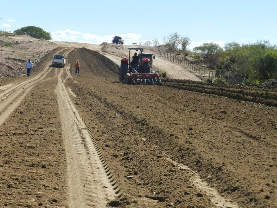 estrada_senador_piquet